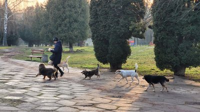З 2022 в 2023 з температурним рекордом. В Рівненському гідрометцентрі розповіли, як довго триватиме погодна аномалія З 2022 в 2023 з температурним рекордом. В Рівненському гідрометцентрі розповіли, як довго триватиме погодна аномалія