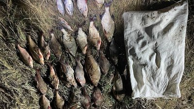 На Черкащині впіймали браконьєрів, які ловили рибу в заказнику На Черкащині впіймали браконьєрів, які ловили рибу в заказнику