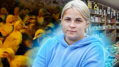 як жінка з Херсонщини відновлює бізнес на Миколаївщині