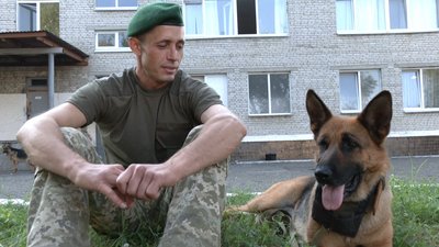 Підготовка до параду: У Львові відбуваються тренування службових собак Підготовка до параду: У Львові відбуваються тренування службових собак