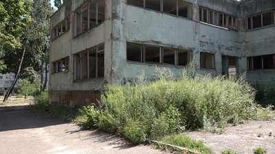 Рослини у людський зріст: у закинутому черкаському дитсадку розплідник амброзії Рослини у людський зріст: у закинутому черкаському дитсадку розплідник амброзії