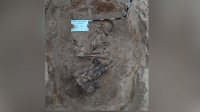 На Житомирщині знайшли останки та встановили імена двох радянських воїнів, які загинули в 1941 році На Житомирщині знайшли останки та встановили імена двох радянських воїнів, які загинули в 1941 році