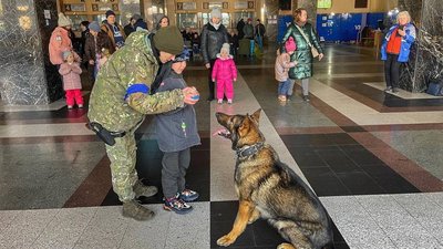 Песики-психологи на вокзалі Песики-психологи на вокзалі