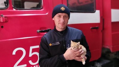На пожежі під Харковом врятували руде кошеня На пожежі під Харковом врятували руде кошеня