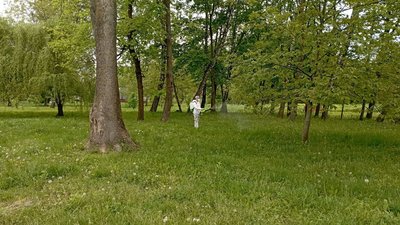 Тернопільські парки кроплять від кліщів Тернопільські парки кроплять від кліщів