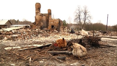 Жителі дотла згорілих сіл Овруцького району чекають на відновлення звичного життя Жителі дотла згорілих сіл Овруцького району чекають на відновлення звичного життя