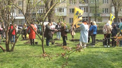 Десять перших магнолій на "Алеї нескорених" спільно посадили 27 родин з Хмельниччини і обласного центру.
