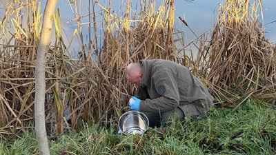 Екологи, проба води, ставок "Крошенський", Житомир, забруднення, каналізація