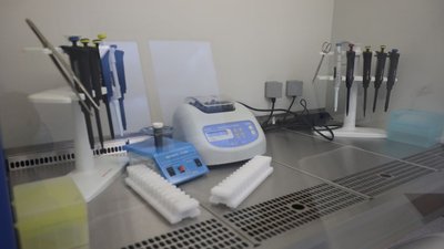 У Львові створили нову вірусологічну лабораторію У Львові створили нову вірусологічну лабораторію
