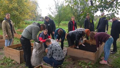На міському городі у Луцьку висадили ягідні кущі