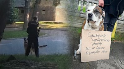 Калуш, собака, Івано-Франківщині, поліція