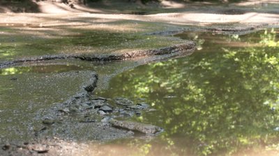 У міськраді обіцяють відремонтувати дорогу в Помірках: ями не можуть заасфальтувати вже рік