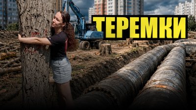 Теремки