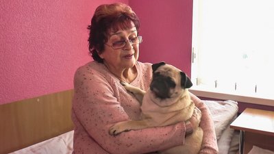 У Кропивницькому обласний онкоцентр безкоштовно приймає на ночівлю переселенців У Кропивницькому обласний онкоцентр безкоштовно приймає на ночівлю переселенців