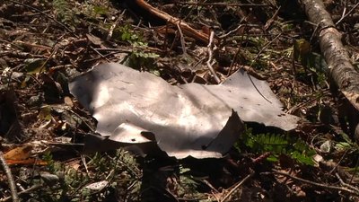 На околиці села Левків, що під Житомиром, впав та розірвався боєприпас На околиці села Левків, що під Житомиром, впав та розірвався боєприпас