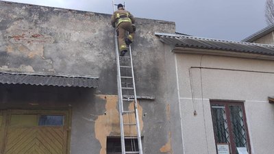 Прикарпатські надзвичайники врятували котика та трьох цуценят Прикарпатські надзвичайники врятували котика та трьох цуценят