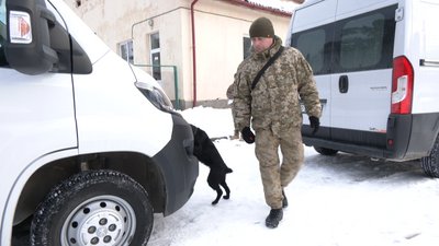 На Львівщині майбутні собаки-прикордонники склали іспити На Львівщині майбутні собаки-прикордонники склали іспити