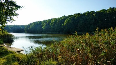 Мінлива хмарність, без дощів. Погода у Кіровоградській області на вихідні