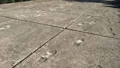 На Миколаївщині вшанували пам’ять євреїв, яких нацисти знищили у Богданівці На Миколаївщині вшанували пам’ять євреїв, яких нацисти знищили у Богданівці