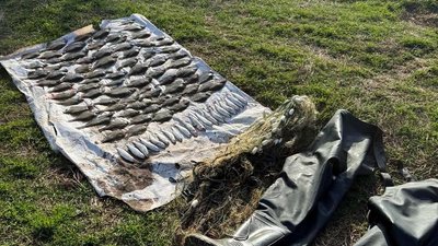 Незаконний вилов риби на Одещині: збитки понад 4 млн грн
