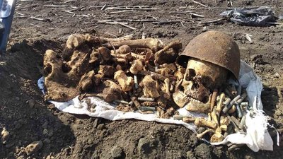 Останки німецьких та радянських солдатів, знайдені на Сумщині, чекають на перепоховання Останки німецьких та радянських солдатів, знайдені на Сумщині, чекають на перепоховання