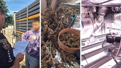 Затримання підозрюваного, канабіс