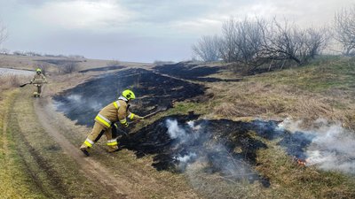 Вигоріло 17 гектарів. За добу на Кіровоградщині погасили 25 пожеж сухостою