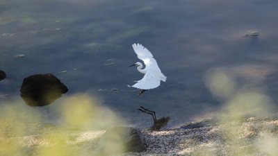 Прогноз погоди. На Миколаївщині буде сухо і не спекотно