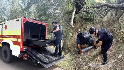 Сапери знищили артилерійські снаряди та бойові частини безпілотників на Чернігівщині 