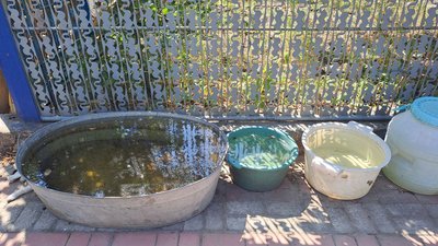 Частина кропивничан два місяці без води. Що пропонують у водоканалі й міській раді Частина кропивничан два місяці без води. Що пропонують у водоканалі й міській раді