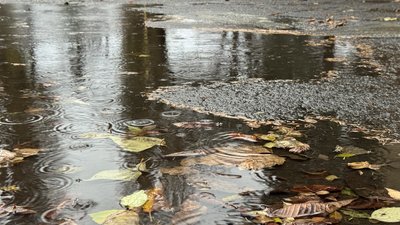 На Закарпатті очікують погіршення погодних умов