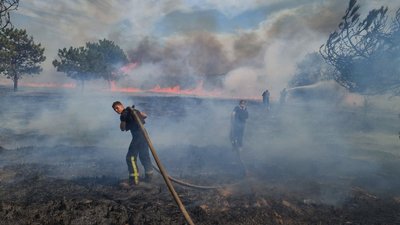 За добу на Миколаївщині через обстріли російськими військами сталися десять пожеж — ДСНС