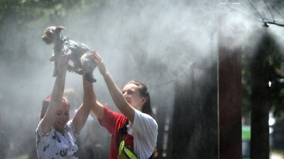 До 39° тепла: на Закарпатті оголосили надзвичайну пожежну небезпеку