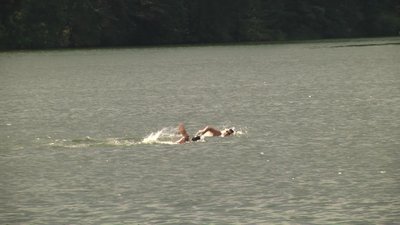 Житомир вперше приймає чемпіонат України з плавання на відкритій воді Житомир вперше приймає чемпіонат України з плавання на відкритій воді