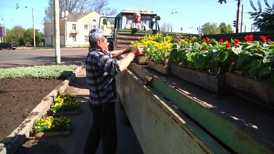 Три з половиною тисячі саджанців квітів висадять на двох міських клумбах Житомира Три з половиною тисячі саджанців квітів висадять на двох міських клумбах Житомира
