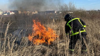 суха трава, палії, ДСНС, пожежа, рятувальники