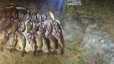 На Чернігівщині четверо рибалок за майже 60 кілограмів риби заплатять державі понад 116 тисяч гривень