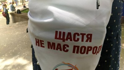 Щастя не має породи. У Миколаєві майже два десятки безпородних собак знайшли нових хазяїв Щастя не має породи. У Миколаєві майже два десятки безпородних собак знайшли нових хазяїв