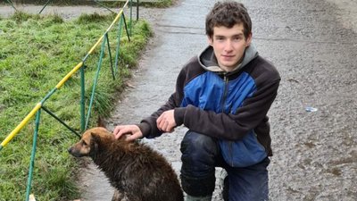 На Черкащині ДСНС-ники врятували собаку