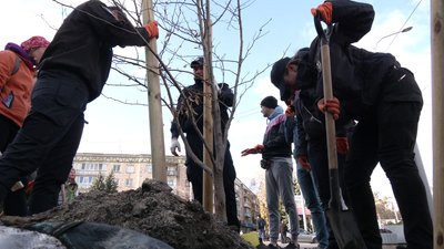 У Рівному висадили "кишеньковий" парк