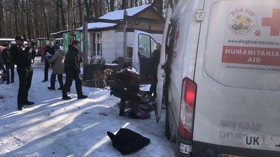 "Собаки і коти не розуміють, що йде війна": хто та як допомагає тваринам у Харкові "Собаки і коти не розуміють, що йде війна": хто та як допомагає тваринам у Харкові