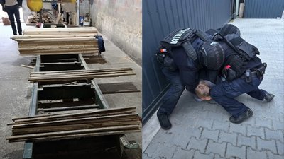 Крали ліс на Волині, Ківерцівське надлісництво, поліція Волині, пилорами в Луцькому районі