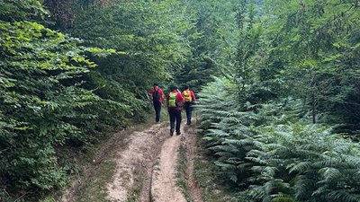На Закарпатті шукають 15-річного хлопця, який зник у лісі