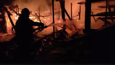 На Запоріжжі через обстріли РФ сталася пожежа, внаслідок якої загинули тварини