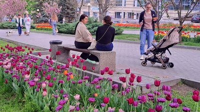 "Маленькі Японія й Голландія". Тюльпани й сакури в Дніпрі – фоторепортаж "Маленькі Японія й Голландія". Тюльпани й сакури в Дніпрі – фоторепортаж