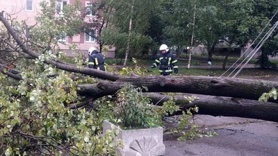 У деяких будинках зникла електрика. У деяких будинках зникла електрика.