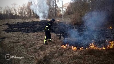Пожежа через обстріл на Чернігівщині: загорілися понад два гектари сухої рослинності