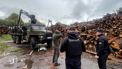 Житомир, незаконна вирубка, ліс, 30 вересня 2026 року