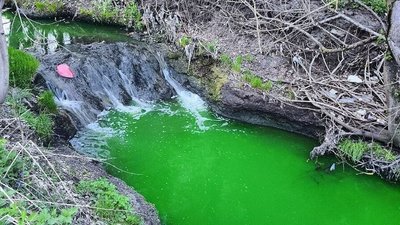 Фото річки з соцмереж
