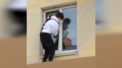 У Житомирі підлітки врятували кота, який застряв у вікні другого поверху У Житомирі підлітки врятували кота, який застряв у вікні другого поверху